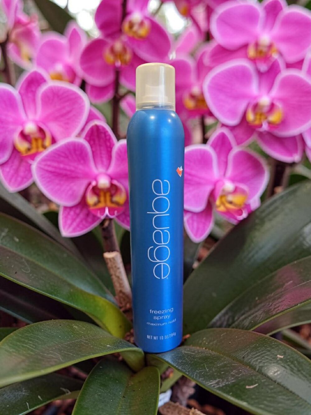 Aquage Freezing Spray Max Hold 10 oz